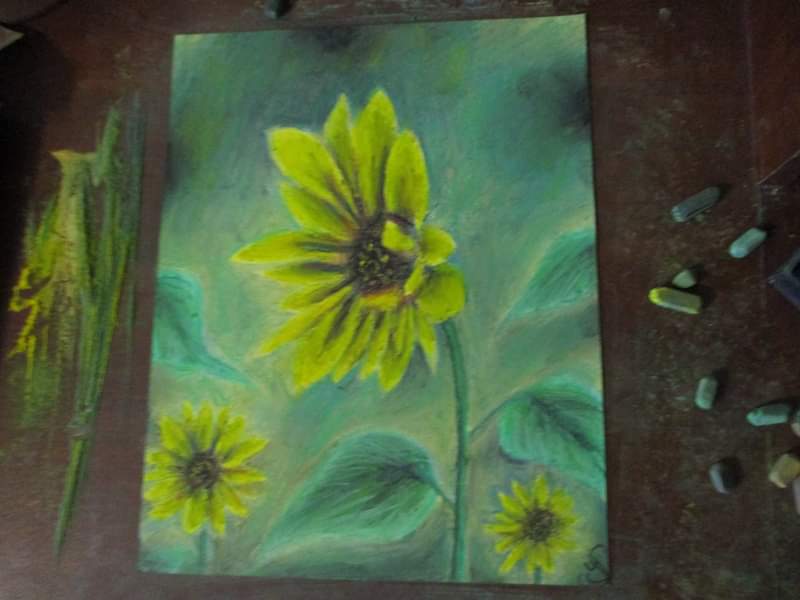 Hazing Sunflowers - Art Print