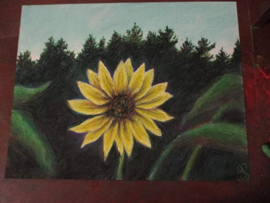 "Spinning Sun Flower" ~ Original Pastel Painting