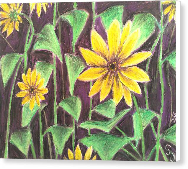Nights of Sunflowers - Canvas Print