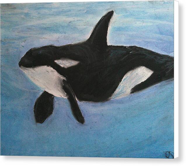 Orca Calls - Canvas Print