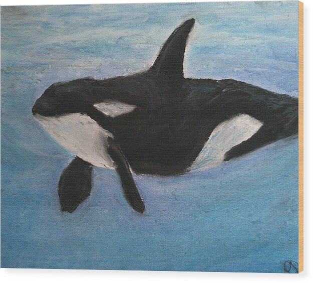 Orca Calls - Wood Print