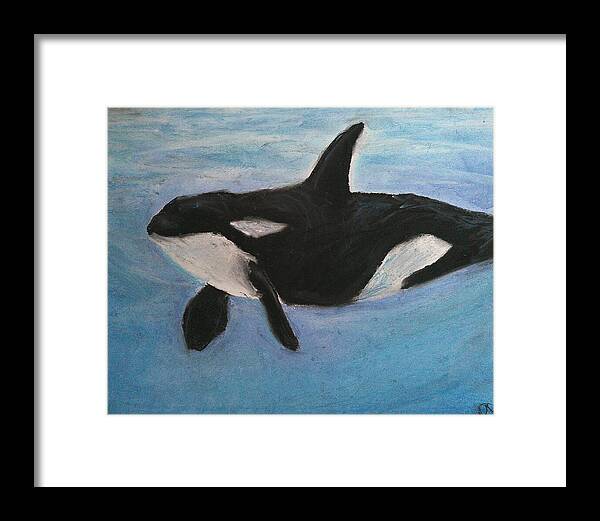 Orca Calls - Framed Print