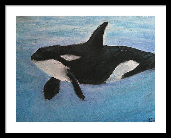 Orca Calls - Framed Print