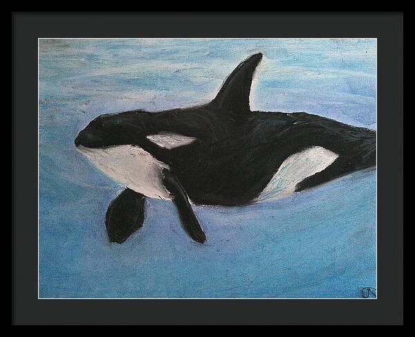 Orca Calls - Framed Print