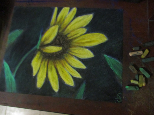 This is a original pastel artwork of Artist Jen Shearer

This original pastel piece comes framed and safely packaged with a tracking number from Canada Post. 

 

" Yellow Petalled "

 

Petalled in the light

Shining in day and night

One of a kind and soothing sight

Streaking it is shining bright

 

Original Artwork and Poetry of Artist Jen Shearer

 

11" x 14"

Soft Pastels

Comes Framed