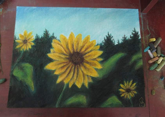 This is a original pastel artwork of Artist Jen Shearer

This original pastel piece comes framed and safely packaged with a tracking number.



 " Sunny Sun Sun Flower "

Flinging out to say hello

In a field or meadow

Catching the sun in the sky

Observing a bee or passer by

 

Original Artwork and Poetry of Artist Jen Shearer 

 

11" x 14"

Soft Pastels

Comes Framed

Free Shipping 