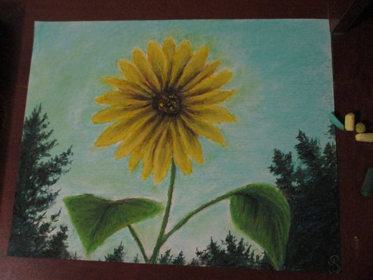 This is a original pastel artwork of Artist Jen Shearer

This original pastel piece comes framed and safely packaged with a tracking number from Canada Post. 

 

" Flower of Yellow "

 

Standing out in the day

A flower kind of play

Dancing swirling in the air

Spiraling around growing fare

A life cyling sunny glare

 

Original Artwork and Poetry of Artist Jen Shearer

 

11" x 14"

Soft Pastels

Comes Framed
