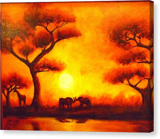 African Sunset  - Canvas Print