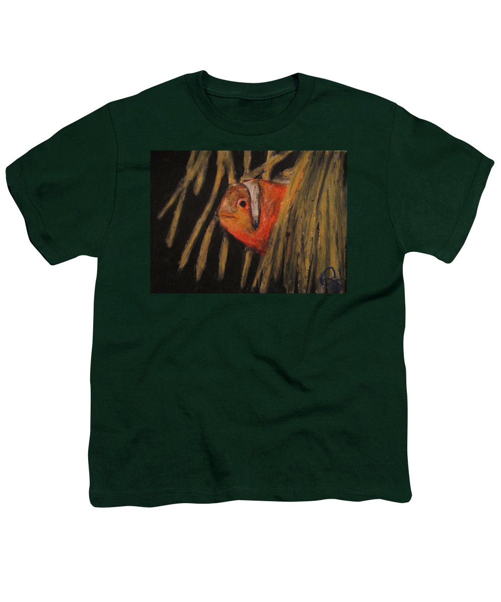 Clown Fishy - Youth T-Shirt