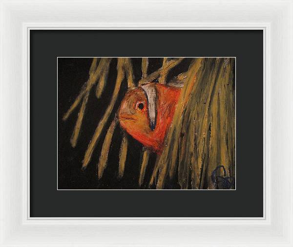 Clown Fishy - Framed Print