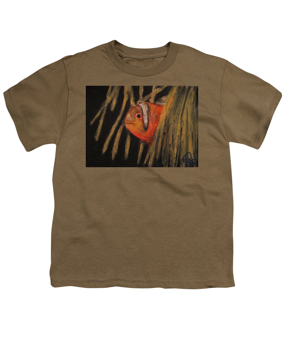 Clown Fishy - Youth T-Shirt