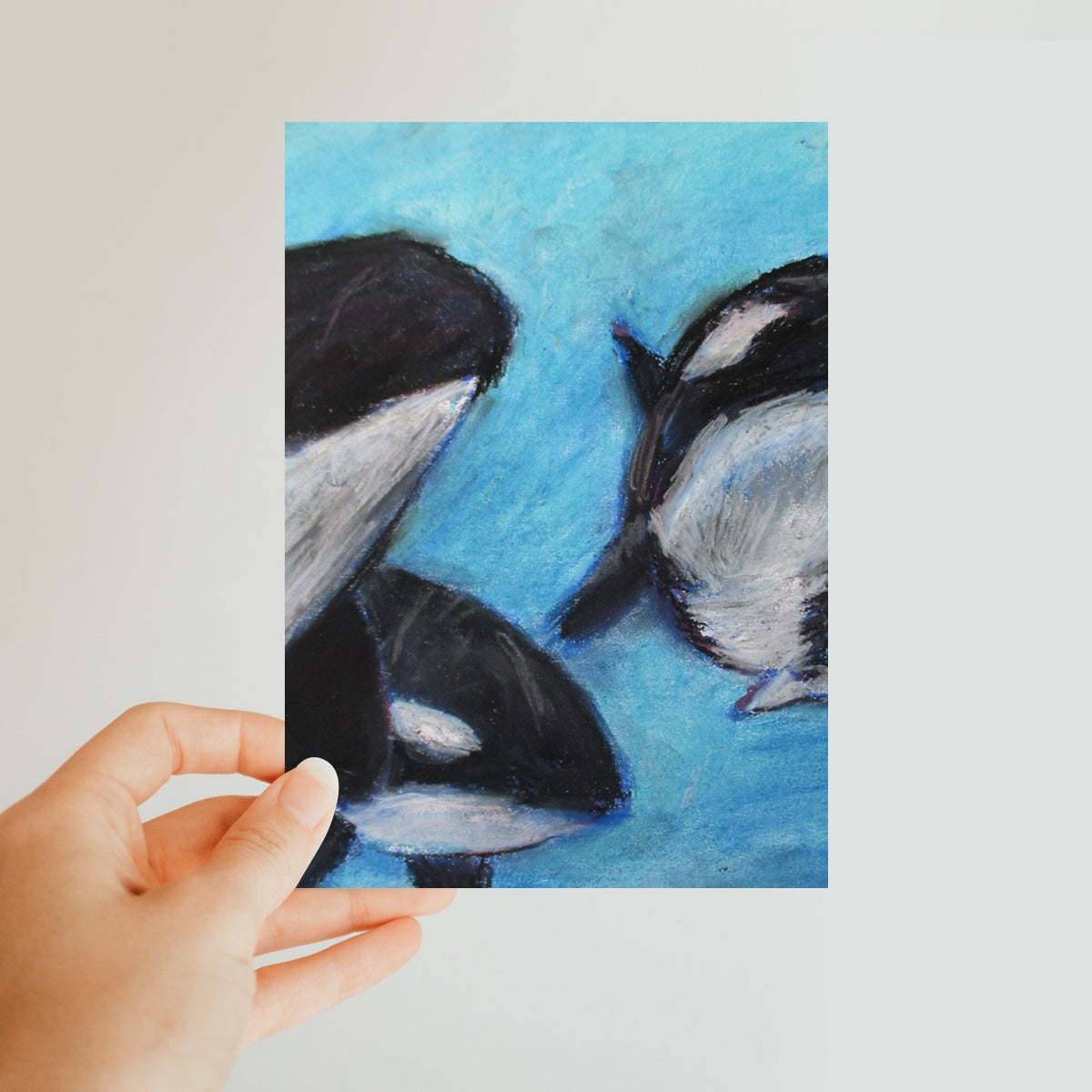 Orca Tides ~ Postcard