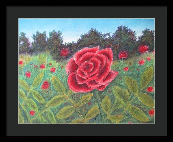 Field of Roses - Framed Print