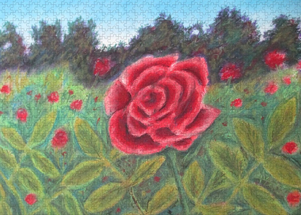 Field of Roses - Puzzle