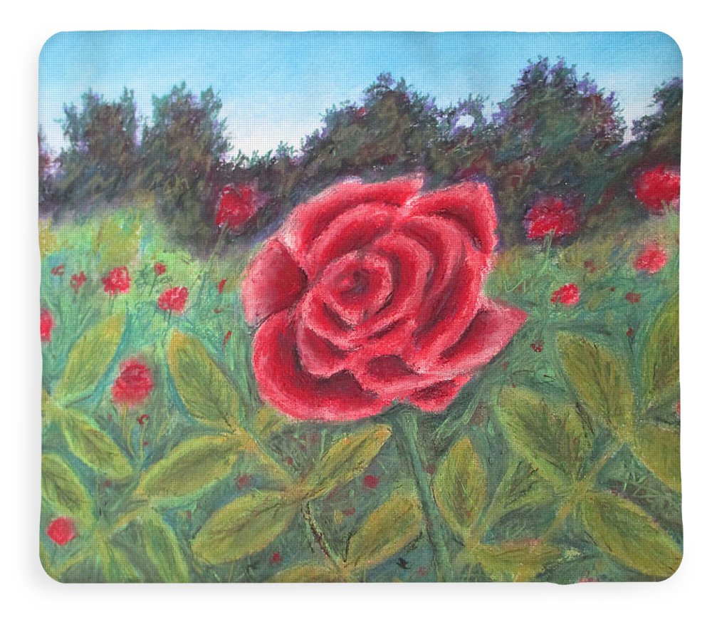 Field of Roses - Blanket