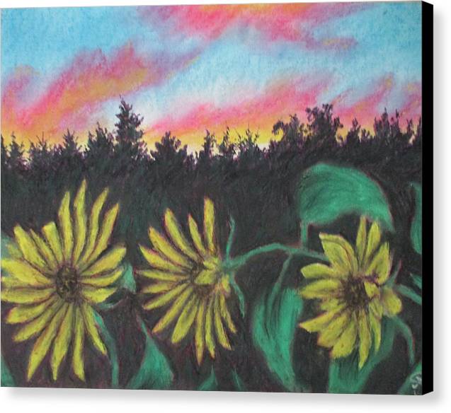 Flower Color Hour - Canvas Print