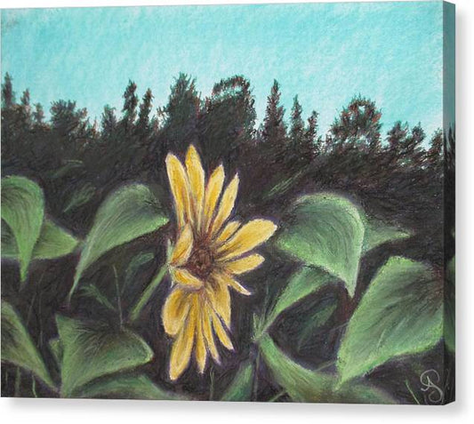 Flower Hour - Canvas Print