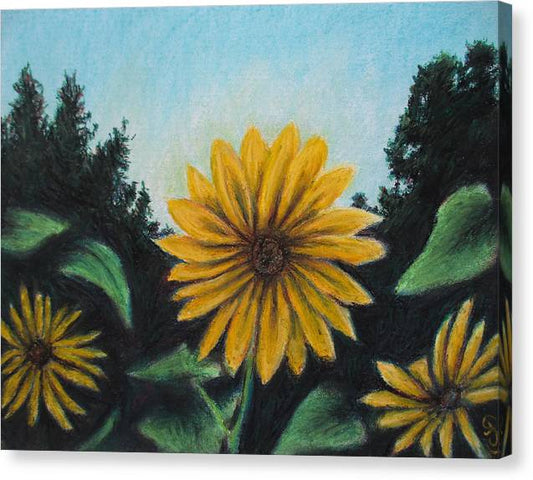 Flower of Sun - Canvas Print