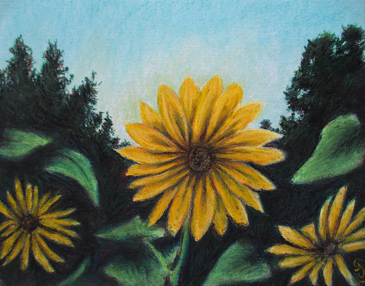 Flower of Sun - Art Print