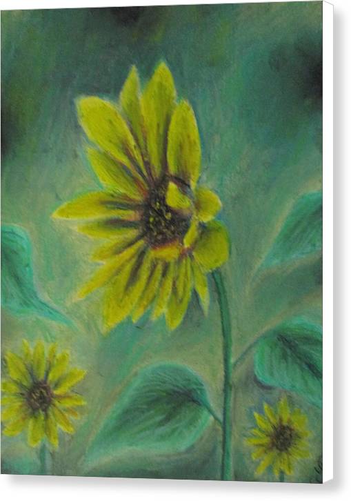 Hazing Sunflowers - Canvas Print
