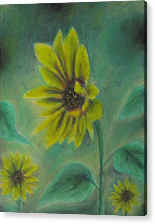 Hazing Sunflowers - Acrylic Print