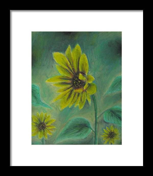 Hazing Sunflowers - Framed Print