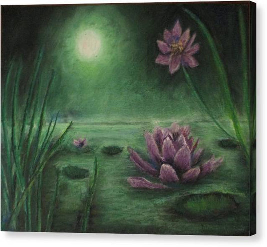 Lily Pond - Canvas Print