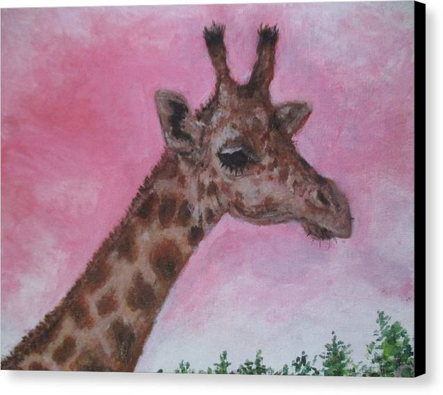 Mr. Giraffe  - Canvas Print