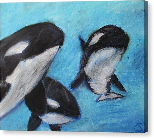 Orca Tides - Canvas Print
