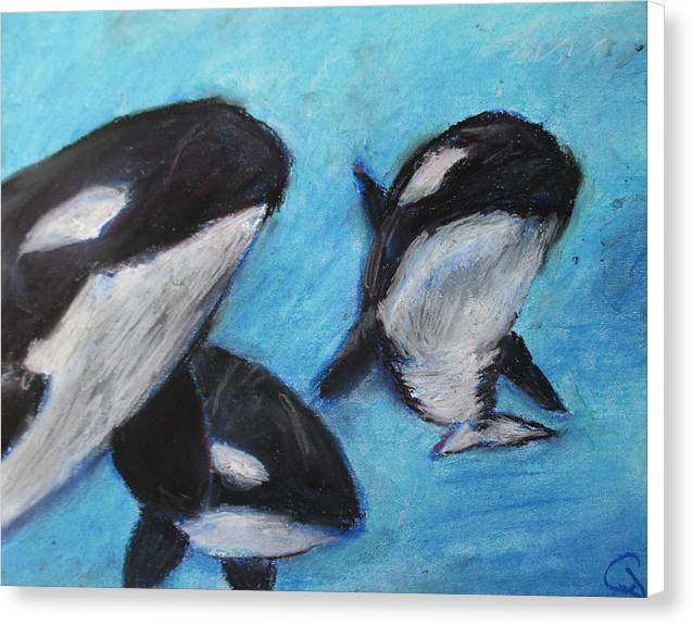 Orca Tides - Canvas Print
