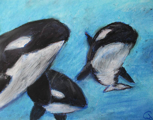 Orca Tides - Art Print
