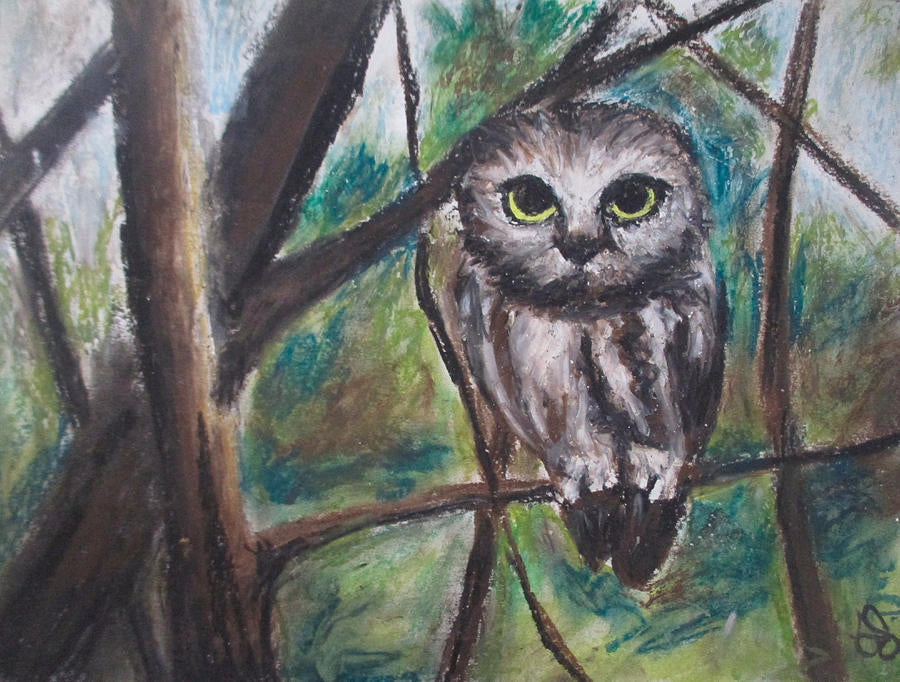 Owl Night - Art Print