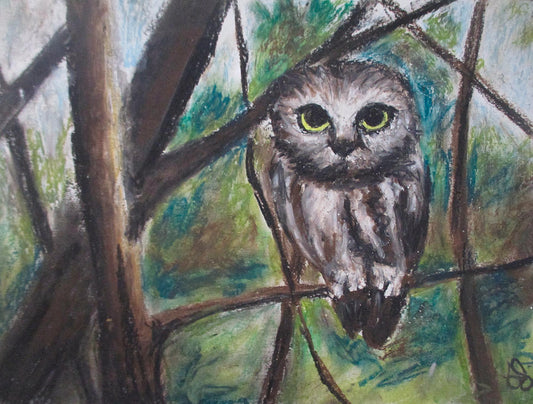 Owl Night - Canvas Print