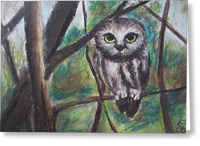Owl Night - Greeting Card