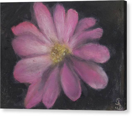 Pink Flower - Canvas Print