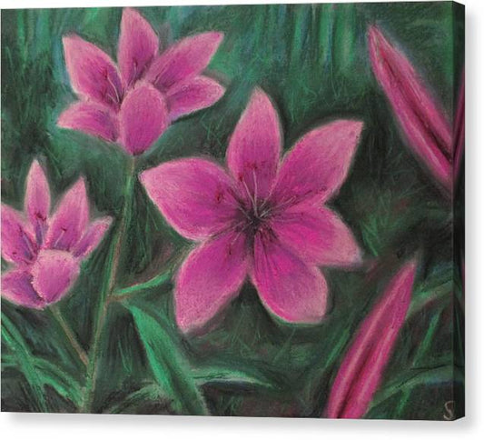 Pink Lilies - Canvas Print