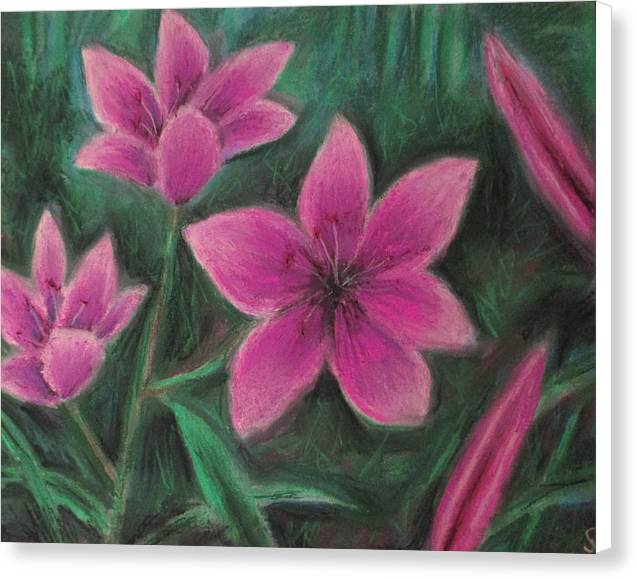 Pink Lilies - Canvas Print