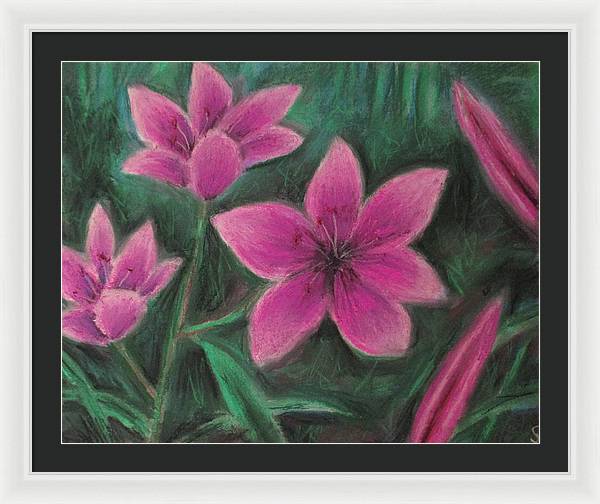 Pink Lilies - Framed Print