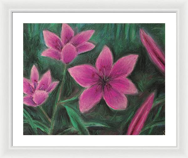 Pink Lilies - Framed Print