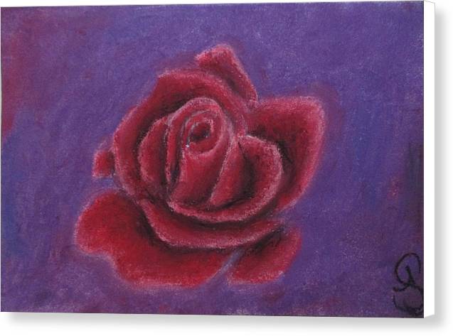 Rosey Rose - Canvas Print
