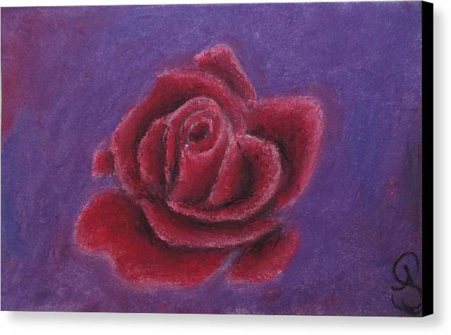 Rosey Rose - Canvas Print