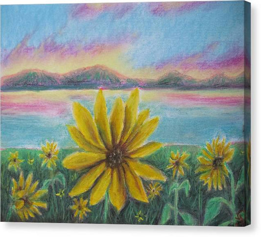Setting Sunflower - Canvas Print