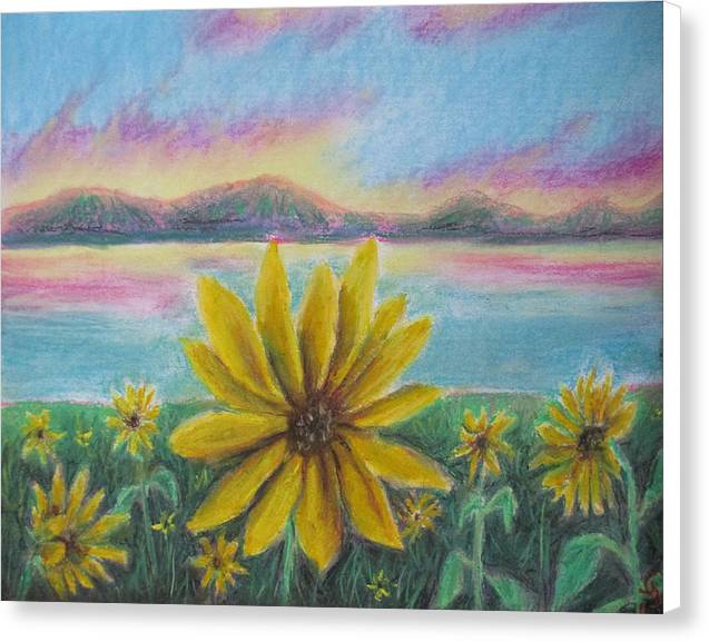 Setting Sunflower - Canvas Print