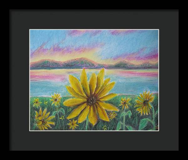 Setting Sunflower - Framed Print