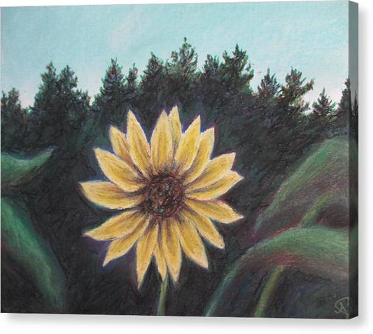 Spinning Flower Sun - Canvas Print