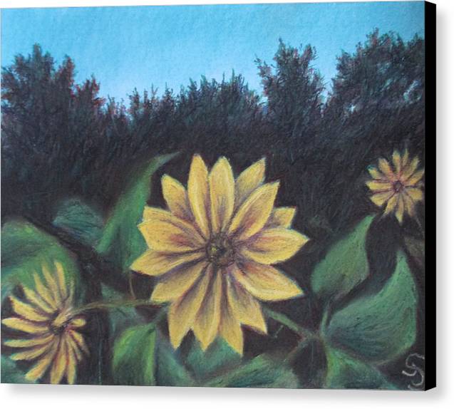 Sunflower Commitment - Canvas Print