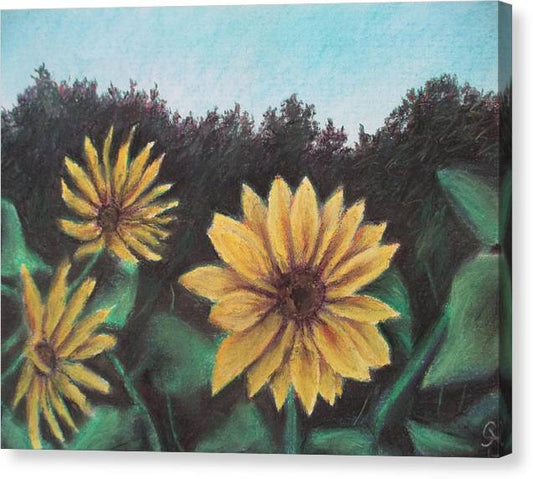 Sunflower Days - Canvas Print