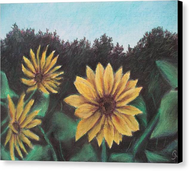 Sunflower Days - Canvas Print
