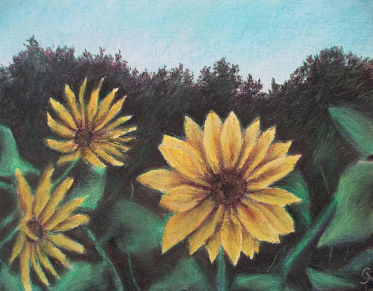 Sunflower Days - Art Print