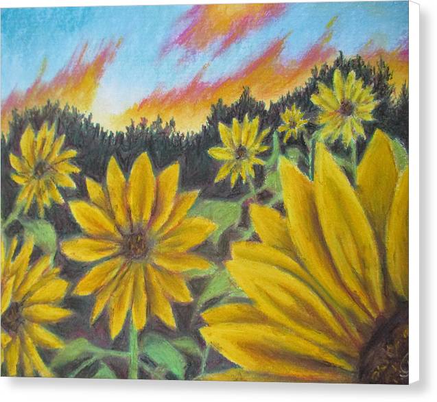 Sunflower Hue - Canvas Print